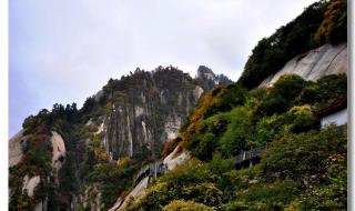 哟西是什么意思 哟西是什么意思