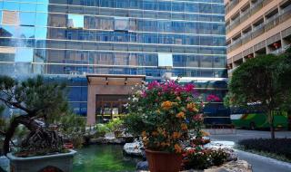 广州黄埔公寓楼盘在售 广州黄埔公寓楼盘在售